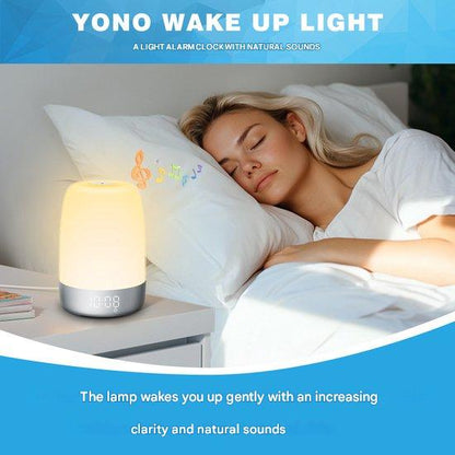 Aurora Wake-Up Light Alarm Clock with Natural Sounds, Dimmable Night Light & Dual Alarm