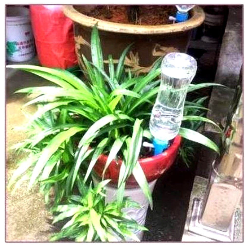 Self-Watering Plant Spikes with Adjustable Flow Control - Automatic Watering Cones for Potted Plants