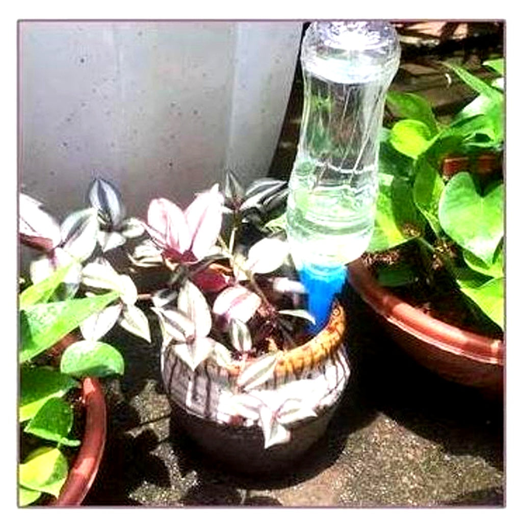 Self-Watering Plant Spikes with Adjustable Flow Control - Automatic Watering Cones for Potted Plants
