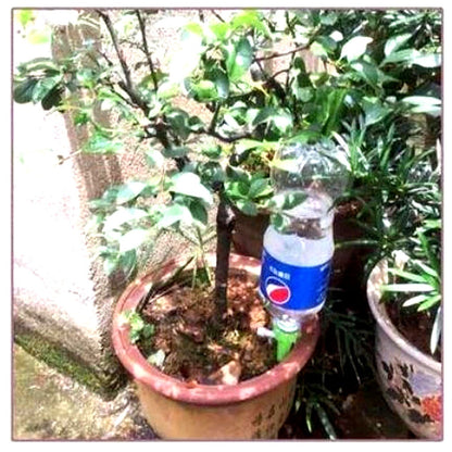 Self-Watering Plant Spikes with Adjustable Flow Control - Automatic Watering Cones for Potted Plants