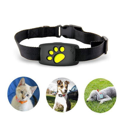 GPS Pet Tracker Collar with Real-Time Location, Geo-Fence and No Subscription Fees