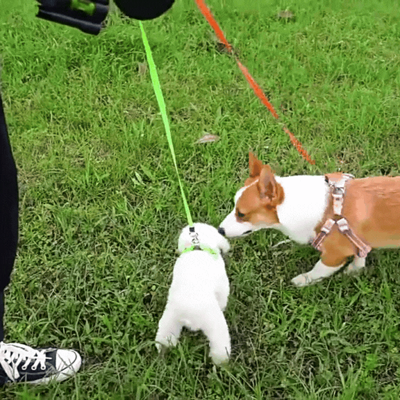 Retractable Double Dog Leash with Bright LED Light and Tangle-Free 360-Degree Rotation