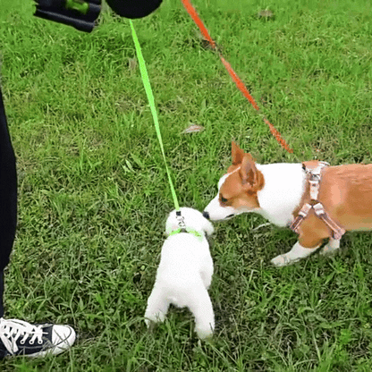 Retractable Double Dog Leash with Bright LED Light and Tangle-Free 360-Degree Rotation