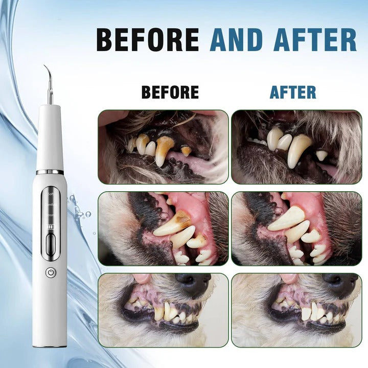 Pet Oral Cleaning Tool with Gentle Vibration, LED Light and Automatic Gum Sensor