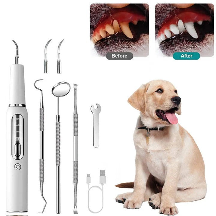 Pet Oral Cleaning Tool with Gentle Vibration, LED Light and Automatic Gum Sensor
