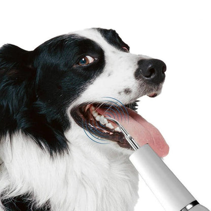 Pet Oral Cleaning Tool with Gentle Vibration, LED Light and Automatic Gum Sensor