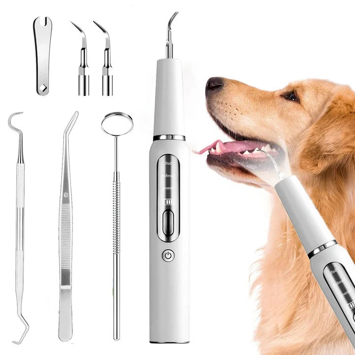 Pet Oral Cleaning Tool with Gentle Vibration, LED Light and Automatic Gum Sensor