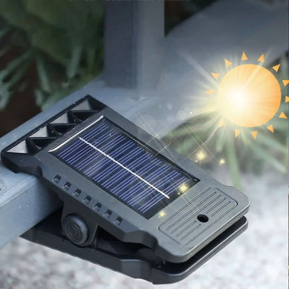 Motion Sensor Solar Light