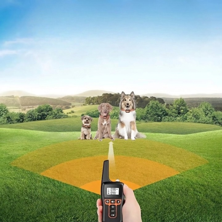 Rechargeable IP67 Waterproof Dog Training Collar - 1000m Range, 3 Modes