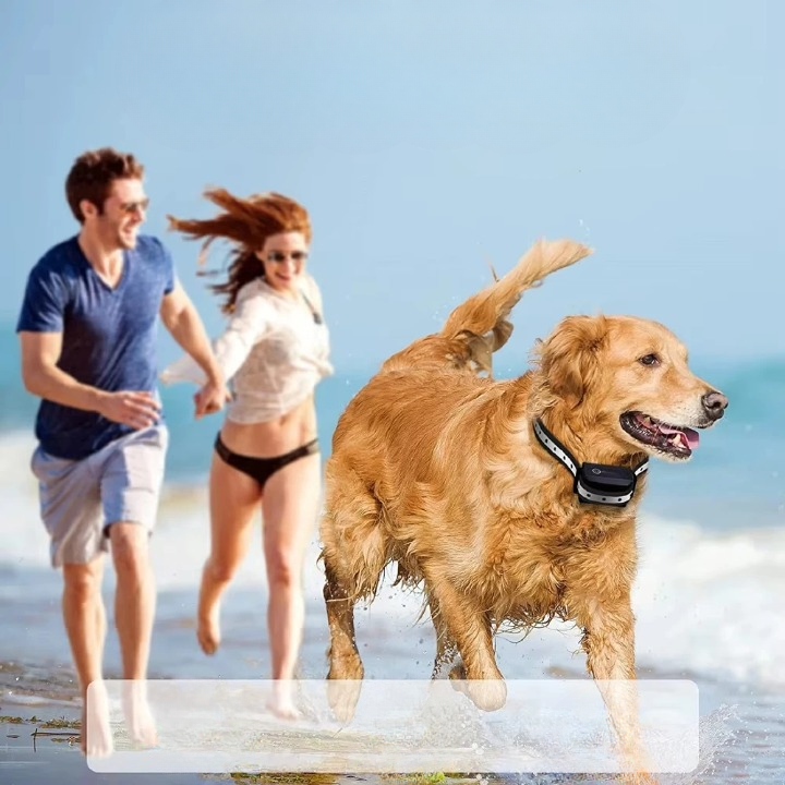 Rechargeable IP67 Waterproof Dog Training Collar - 1000m Range, 3 Modes