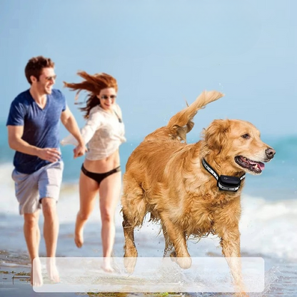 Rechargeable IP67 Waterproof Dog Training Collar - 1000m Range, 3 Modes