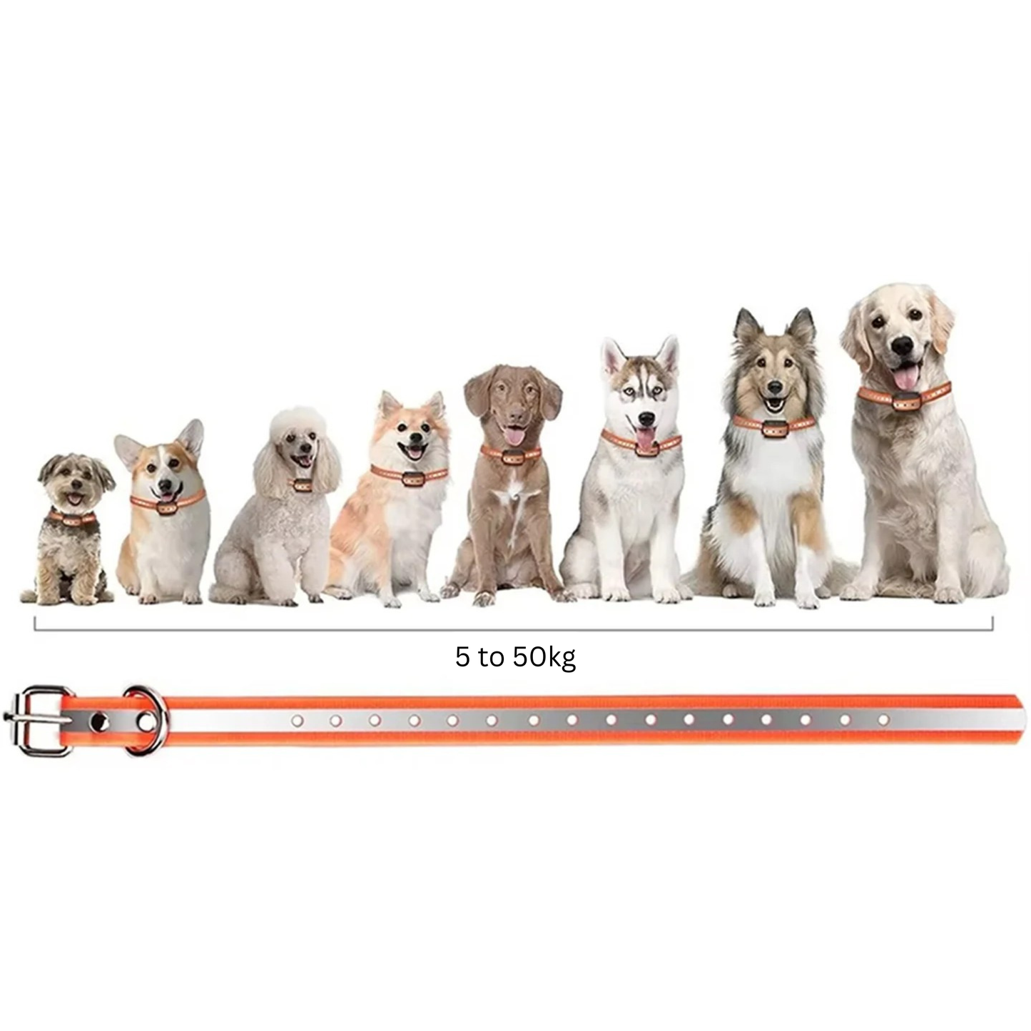 Rechargeable IP67 Waterproof Dog Training Collar - 1000m Range, 3 Modes