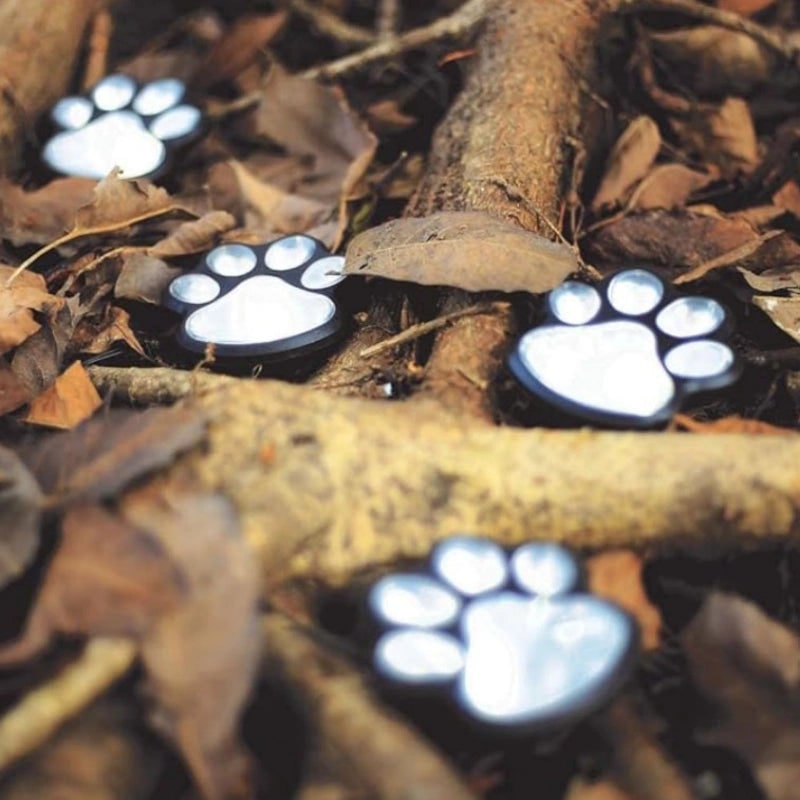 Paw Print Solar Path Lights