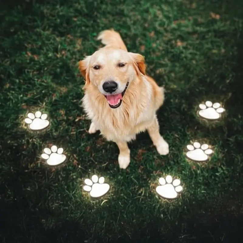Paw Print Solar Path Lights