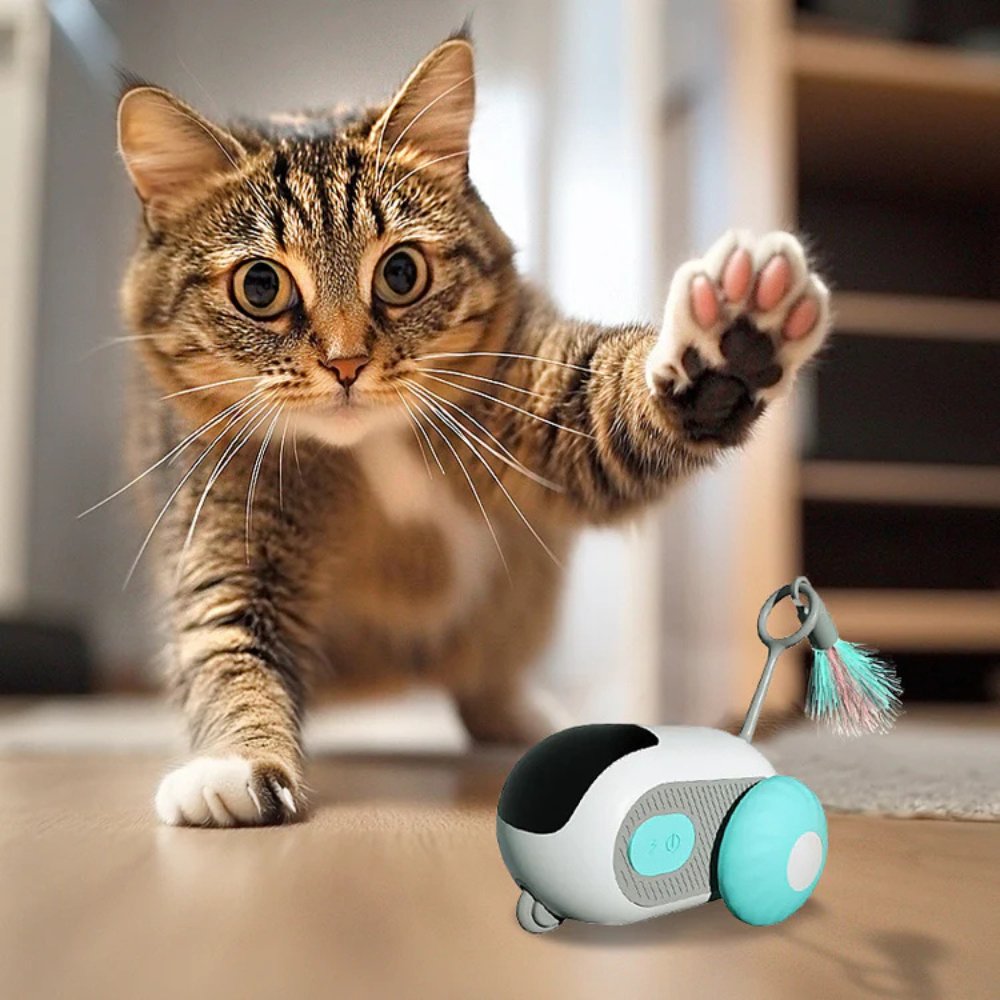 TurboChase Interactive Cat Chase Toy - Automatic Motion Play Toy for Indoor Cats & Kittens