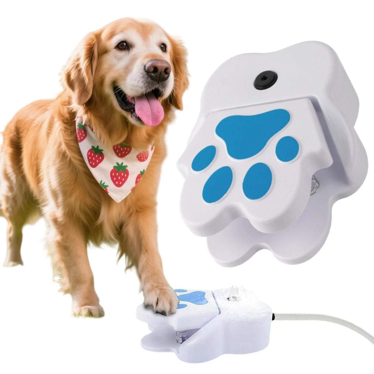 Interactive Paw-Activated Water Fountain for Dogs - Garden Hose Connect