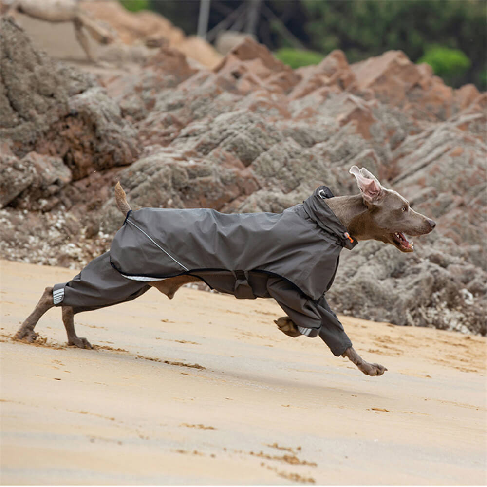 Waterproof Dog Raincoat with Reflective Hood, Four-Leg Coverage and Adjustable Fasteners